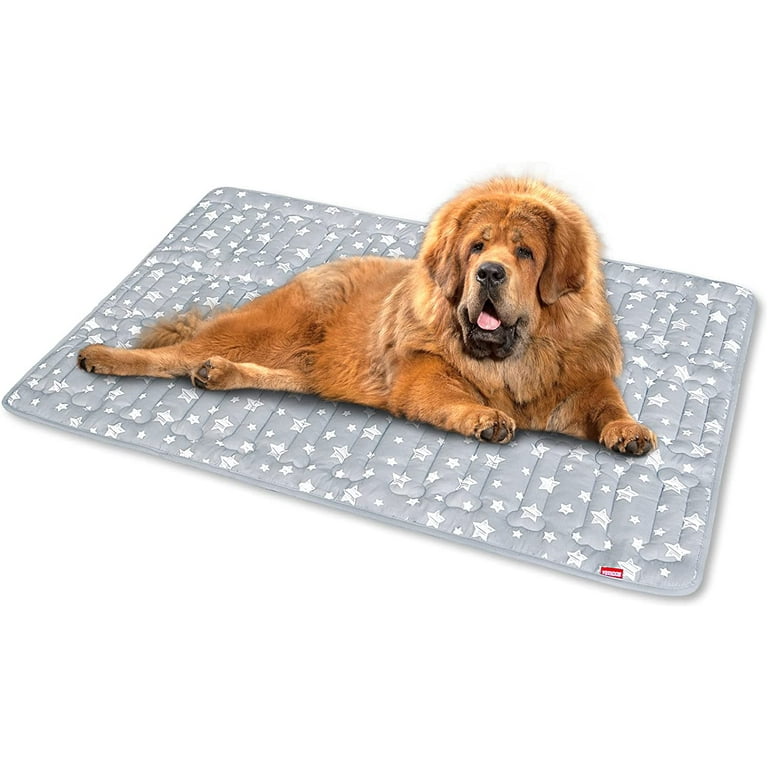 Moonsea Dog Crate Mat Soft Dog Bed Mat with Cute Prints Personalized Dog Crate Pad Anti Slip Bottom Machine Washable Kennel Pad