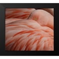 thumbnail image 2 of Wechsler, Robin 22x20 Black Modern Framed Museum Art Print Titled - Portrait Of A Pink Flamingo, 2 of 5