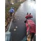 thumbnail image 2 of Xiao Hua Chubasquero impermeable para perros, reflectante, ligero y con capucha tipo poncho (L, azul), 2 of 4
