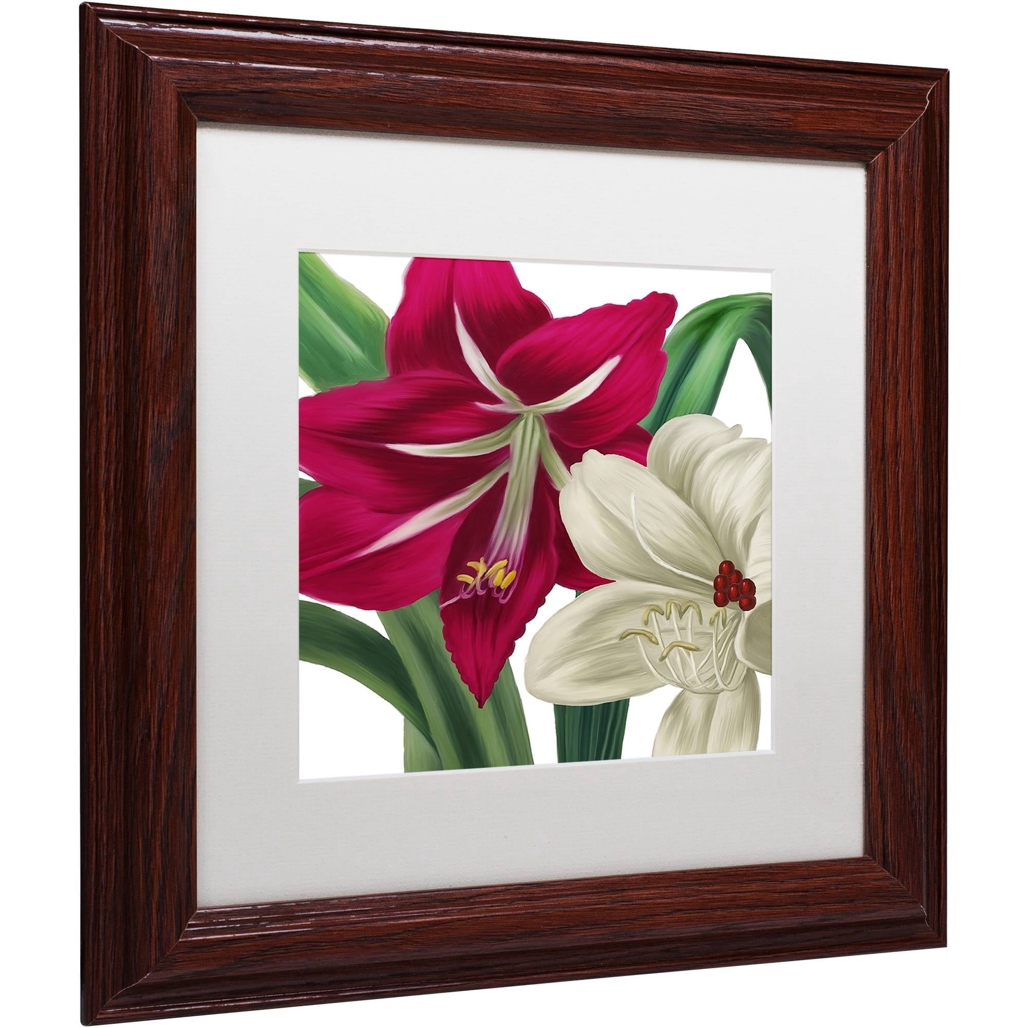 Trademark Fine Art "Christmas Amaryllis I" Canvas Art by Color Bakery White Matte, Wood Frame