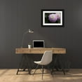 thumbnail image 3 of Crane, Rita 24x17 Black Ornate Wood Framed with Double Matting Museum Art Print Titled - Lavender Dahlia X, 3 of 4