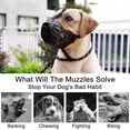 thumbnail image 2 of GFDYREE Dog Muzzle Prevents Biting Barking Chewing Breathable Drinkable Adjustable Basket Muzzle for Aggressive Small Medium Large Dogs (4 - Border Collie), 2 of 6
