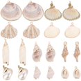 thumbnail image 1 of Charm SUNNYCLUE, 20 unidades, conchas marinas a granel, oro blanco natural, para bricolaje, 1 of 6