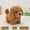 F, variant on Interactive Walking and Barking Robot Puppy Toy - Soft Plush Companion for Kids, My Realistic Robot Puppy Dog Toy Cute Soft Mini Robot Puppy For Kids Gifts