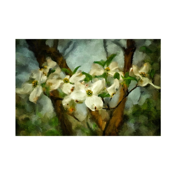 Trademark Fine Art Lois Bryan Painted Dogwood Canvas Wall Art - 12x19