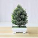 thumbnail image 3 of 2024 Artificial plants in pot - Plastic flowerpot - Decoration for indoors and outdoors - Home balcony or office Green, 3 of 5