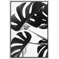 thumbnail image 3 of PixonSign Framed Canvas Print Wall Art Monstera Leaf Trio Botanical Wilderness Photography Realism Minimalist Relax/Calm Duotone Black and White for Living Room, Bedroom, Office - 24"x36" White, 3 of 5