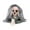 Beige, variant on Voice Activated Walking Ghost Skull Decoration – Light Up Halloween Prop with Sound, Motion & Glowing Eyes – Horror Animatronic for Porch, Backyard, Party or Haunted House