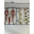 thumbnail image 3 of Anatomy Guide, 3 of 5