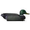 thumbnail image 6 of 36cm Large 3D Realistic Duck Male Mallard Decoy with Green Head for garden decoration sturdy and durable use, 6 of 9