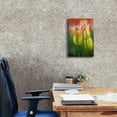 thumbnail image 4 of Epic Graffiti 'Tulip No 4' by Istvan Nagy, Canvas Wall Art, 12"x18", 4 of 8