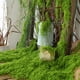thumbnail image 3 of Musgo verde artificial de 30/100 g para manualidades, plantas de interior, jardines de hadas, centros de mesa, peceras, micropaisajes, musgo artificial decorativo., 3 of 8