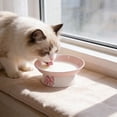 thumbnail image 5 of Pink Bow Ceramic Bowl with Cute Bowtie for Food Water， Dish Pets Feeding Bowls Suitable for Small Cat Dogs Pink, 5 of 6