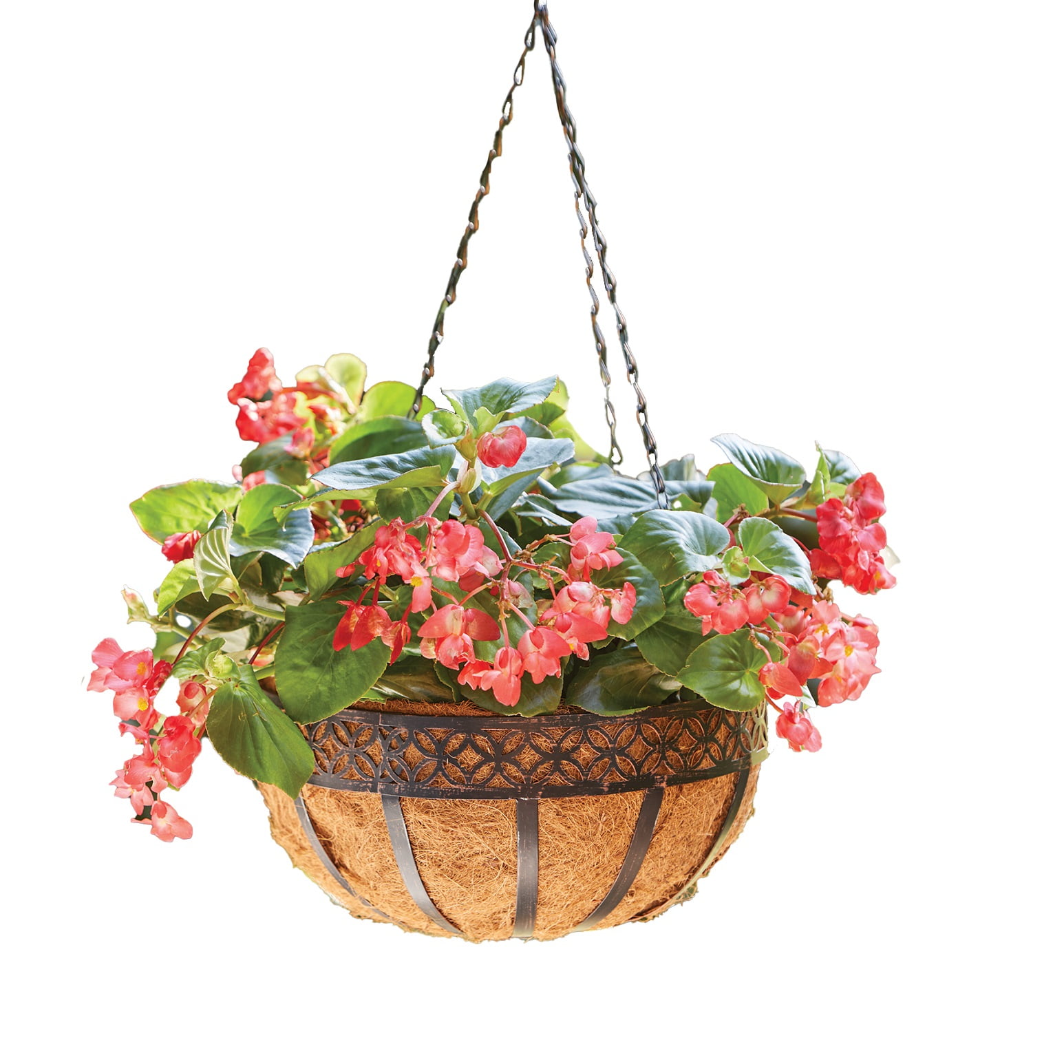 24 x 16" Wire Hanging Basket 40cm Round Bottom Baskets Metal Coated Green Plant 