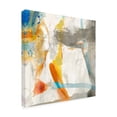thumbnail image 2 of Trademark Fine Art 'Defy III' Canvas Art by Sisa Jasper, 2 of 3