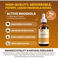 thumbnail image 7 of Rejuvica Health Active Rhodiola - Rhodiola Extract Supplement-Supports Energy & Stress, Men & Women, 7 of 7