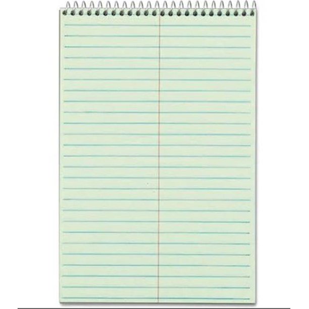 UNE 92069 6 x 9 in. Gregg Ruled Recycled Steno Book White