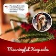 thumbnail image 4 of Basset Hound Dog Ornament - Pet Ornament for Christmas Tree - 3" Round Ceramic - Printed in USA - Puppy New Dog - Dog Mom - Dog Dad - Pet Owner - Xmas Decoration DOG018, 4 of 5