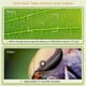 thumbnail image 5 of 2025 Kids Microscope, 1000X Handheld Digital Microscope HD Portable Mini USB Microscope Camera Compatible with PC, 5 of 5