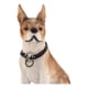 thumbnail image 5 of Gzmzc Collar De Cadena Para Perro, Color Negro, Acero Inoxid, 5 of 7
