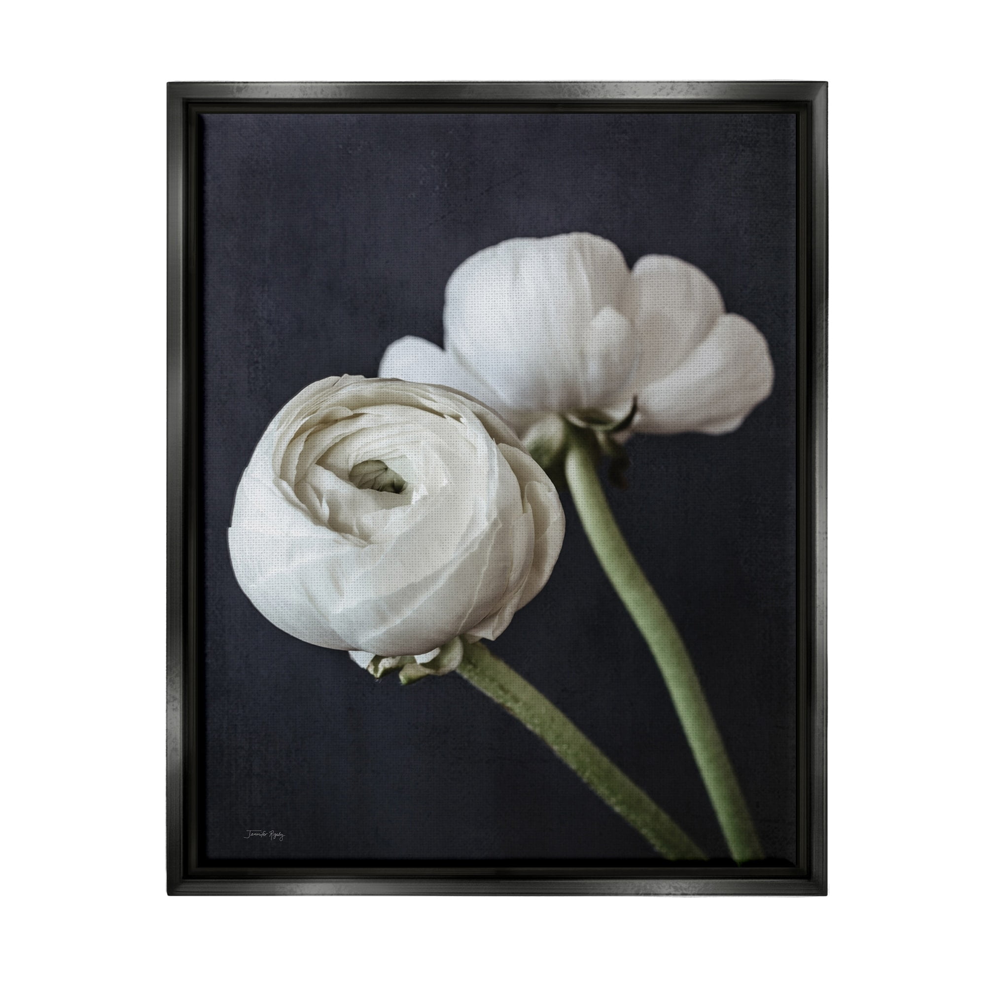 Stupell Industries Modern Ranunculus Flower Blossom Arrangement White Petals Photograph Jet Black Floating Framed Canvas Print Wall Art, Design by Jennifer Rigsby