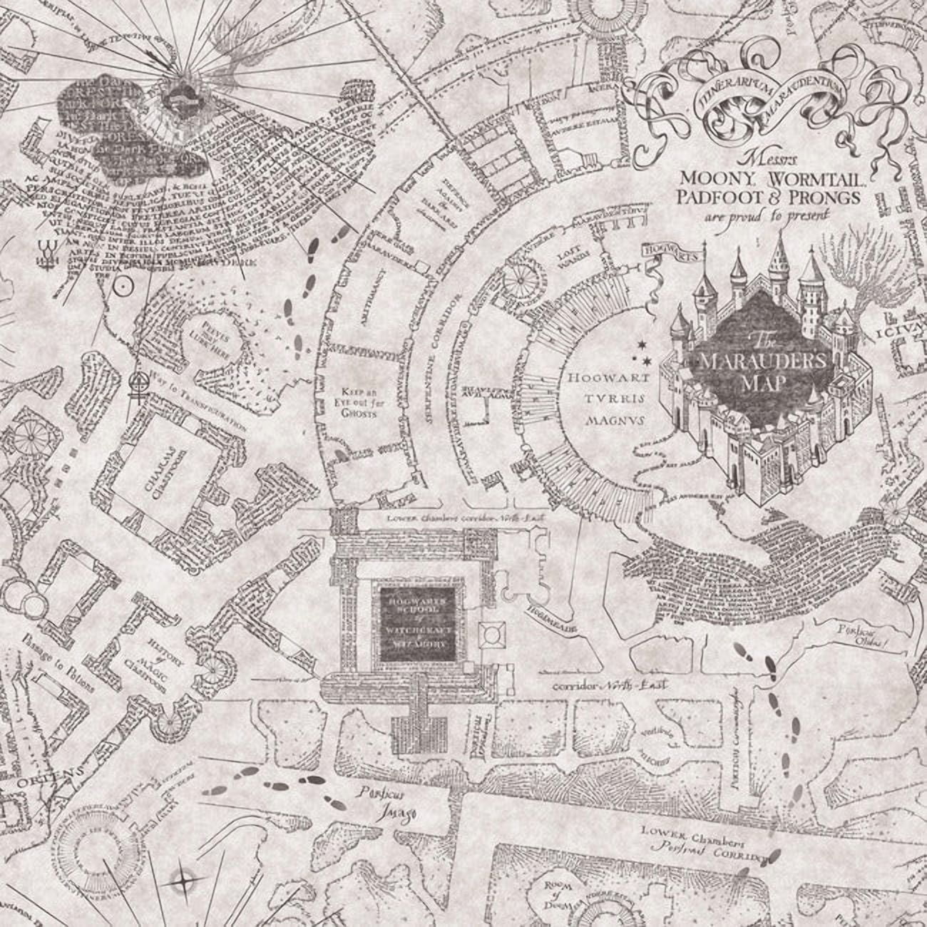 Harry Potter Marauder's Map Peel & Stick Wallpaper