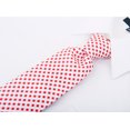 thumbnail image 2 of Scott Allan Mens Checkerboard Necktie |Mens Tie, 2 of 5