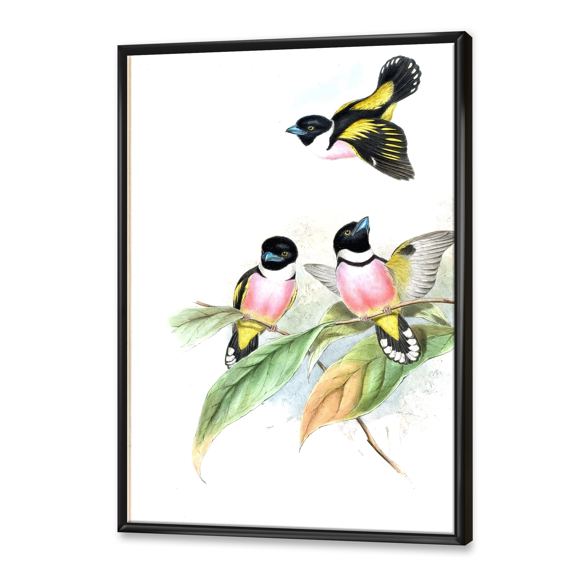Designart 'Ancient Birds III' Traditional Framed Canvas Wall Art Print