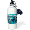 3dRose Dolphin Play, Sports Water Bottle, 21oz