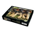 thumbnail image 2 of CVPuzzles German Shepherd Puppies 504 Piece Jigsaw Puzzle 16" X 20", 2 of 2
