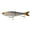 4K Shad, variant on 6th Sense Draw 9 in Glide Bait Bass Fishing Lure Designed with for Trophy Bass Fishing