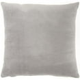 thumbnail image 1 of HomeRoots 386350 Gray Soft Velvet Accent Throw Pillow, 1 of 3