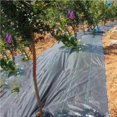 thumbnail image 2 of Agricultural Anti-Grass Cloth Weed Barrier Mat Waterproof Plastic Mulch Thicker Portable Foldable Weed Control Fabric, 2 of 9