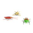 thumbnail image 3 of Toy HEXBUG Real Bugs Nanos, paquete de 3 unidades, funciona con vibraciones durante más de 3 años, 3 of 5