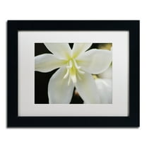 Trademark Fine Art "Hope" Canvas Art by Monica Mize, White Matte, Black Frame