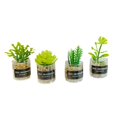 thumbnail image 2 of Plantas de Simulación a Escala 1:12 CUTICAT para Casa de Muñecas Estilo B, 2 of 8