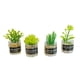 thumbnail image 2 of Plantas en miniatura para casa de muñecas, modelo de adorno, juguete de simulación, plantas diminutas, escala 1/12 Estilo B, 2 of 9