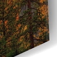 thumbnail image 3 of Epic Art 'The Lost Fire' by Ann Gordon, Acrylic Glass Wall Art, 16"x24", 3 of 8