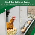 thumbnail image 3 of Chicken Nesting Boxes for Laying Eggs, 6 Compartments/ 8 Compartments Nesting Boxes to Collect & Protect Eggs, Chicken Laying Boxes for Hens, 3 of 7