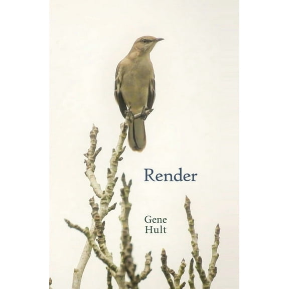 Render, (Hardcover)