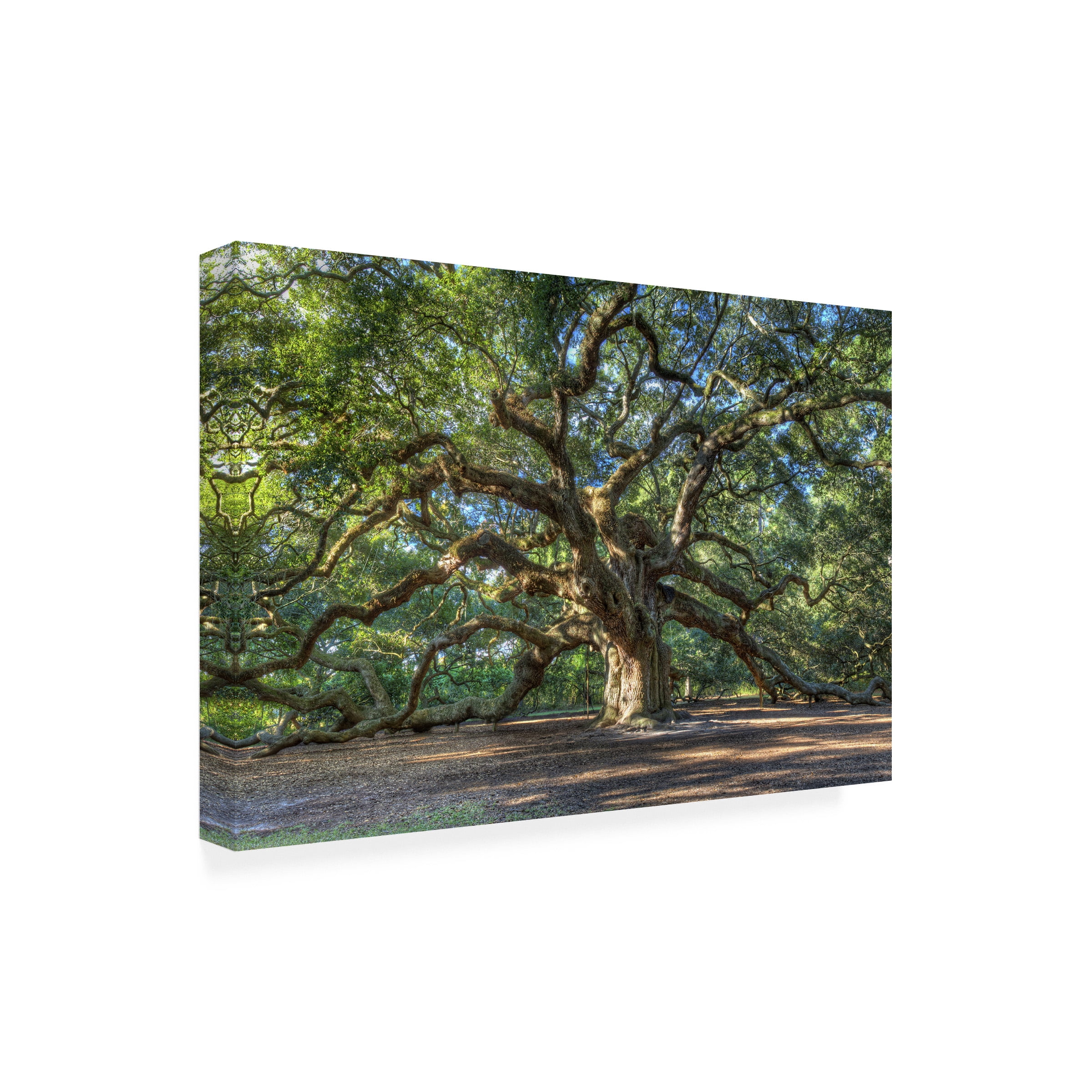 Pierre Leclerc 'Angel Oak Charleston' Outdoor All-Weather Wall Decor
