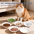 thumbnail image 4 of 6 PCS Cat Bowls,Cat Food Bowl,Anti Whisker Fatigue Ceramic Cats Dishes for Indoor Cats,Shallow Wide Kitten Plates for Wet & Dry Food and Water,Non-Slip Silicone Base (classic cat elements), 4 of 8