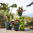 thumbnail image 5 of Bloem Dayton 20" Plastic Planter - 100% Recycled Plastic Indoor/Outdoor Garden Pot with Drainage Holes & Saucer Tray, Turtle Green, 5 of 6