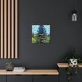 thumbnail image 5 of Douglas Fir Splendor - Canvas, 5 of 5