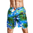 thumbnail image 1 of Traje De Baño Hombre Short Impermeable Bermuda Secado Rápido, 1 of 3