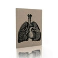 thumbnail image 2 of VONKY Fiber Lung Structure Painting Waterproof Colorful Picture Indoor Classroom School Teaching Science Poster with Frame, 2 of 6