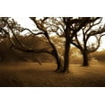 thumbnail image 2 of Alan Hausenflock 32x23 White Modern Wood Framed Wall Art Titled - Salvation Retreat II, 2 of 5