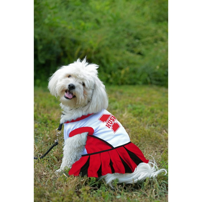 Pets First College Nebraska Huskers Cheerleader, 3 Sizes Pet Dress  Available. Licensed Dog Outfit 