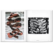 Basic Art M.C. Escher. the Graphic Work, (Hardcover)