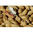 thumbnail image 4 of Bulk Roasted And Salted Peanuts 25 Pound Wholesale Box - Fresh New Nuts, 4 of 5